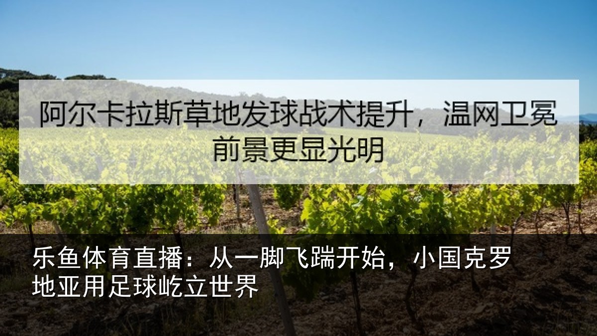 乐鱼体育直播:从一相关情况罗地相关情况