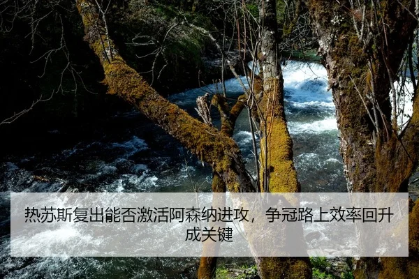 热苏斯复出能否激活阿森纳进攻，争冠路上效率回升成关键