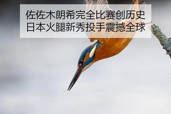 佐佐木朗希完全比赛创历史 日本火腿新秀投手震撼全球