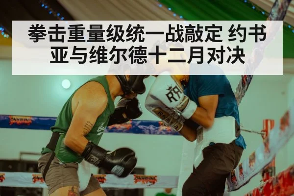 拳击重量级统一战敲定 约书亚与维尔德十二月对决